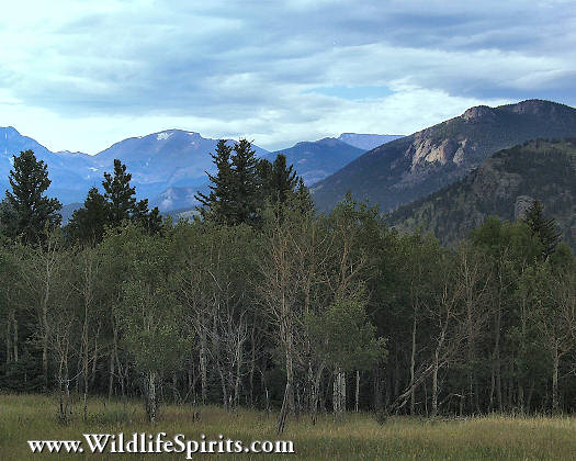 Click Picture to send as an  E-PostCard 51k 525x420